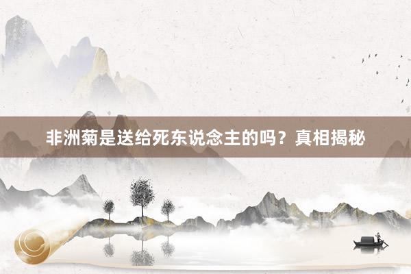 非洲菊是送给死东说念主的吗？真相揭秘