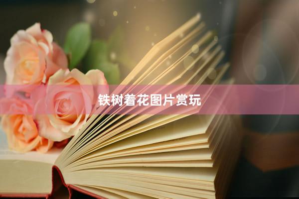 铁树着花图片赏玩