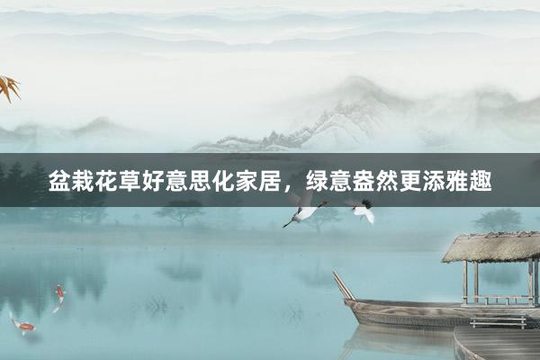 盆栽花草好意思化家居,绿意盎然更添雅趣